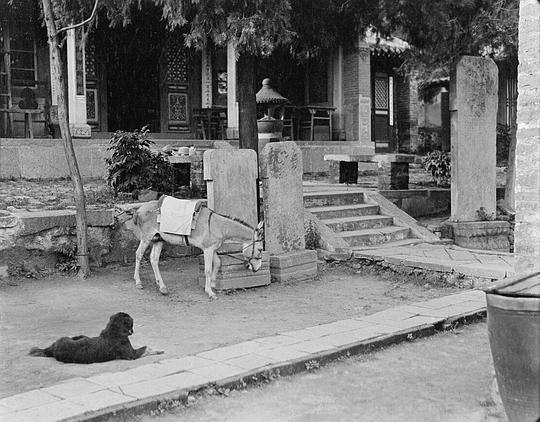 【老照片里的中国】1910s-1930s，社会学家Sidney D. Gamble四度造访中国，拍下五千多份影像资料