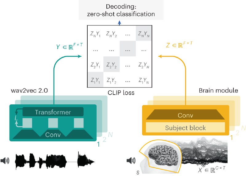 Decoding speech perception from non-invasive brain recordings