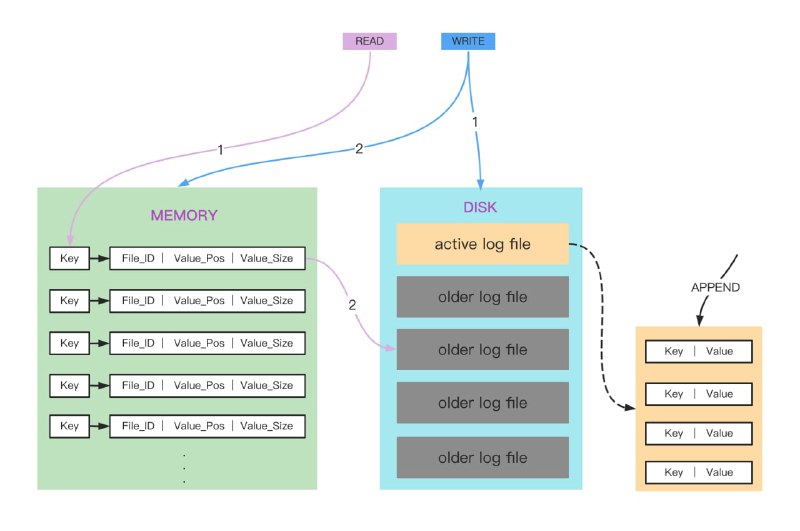 一个稳定、快速、内嵌的 NoSQL 数据库，支持多种数据结构，包含 String、List、Hash、Set、Sorted Set