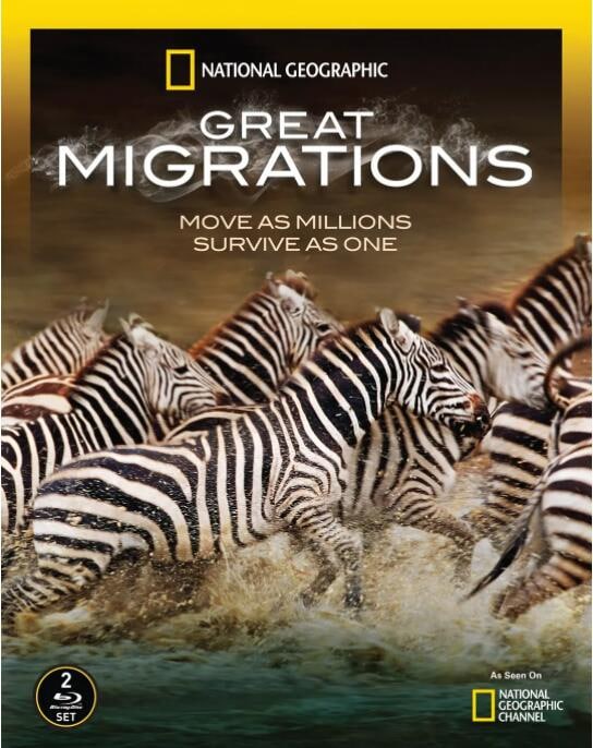 豆瓣9.4纪录片《大迁徙 GreatMigrations》 完整全集 (2010)