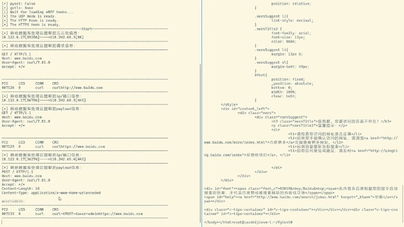 基于 eBPF 的强大进程级网络流量嗅探工具，支持 UDP、TCP、HTTP、HTTPS (curl/wget/nc/python/go) 等多种常见协议