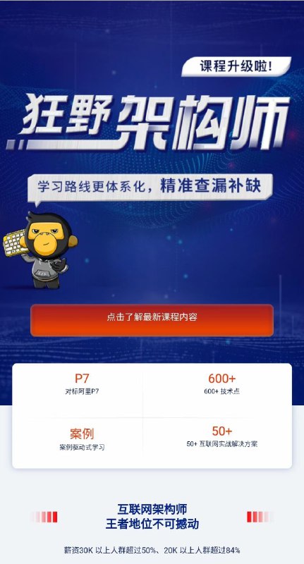 【同步更新】黑马狂野架构师三期