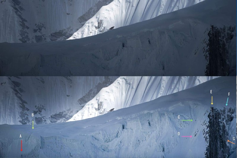 假雪豹：蒙太奇照片传遍世界 |blog假雪豹：蒙太奇照片传遍世界 |blog