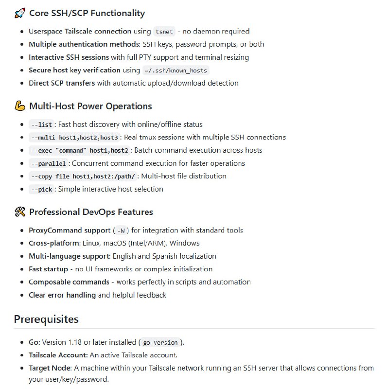ts-ssh：为Tailscale网络量身定制的高效SSH/SCP命令行工具