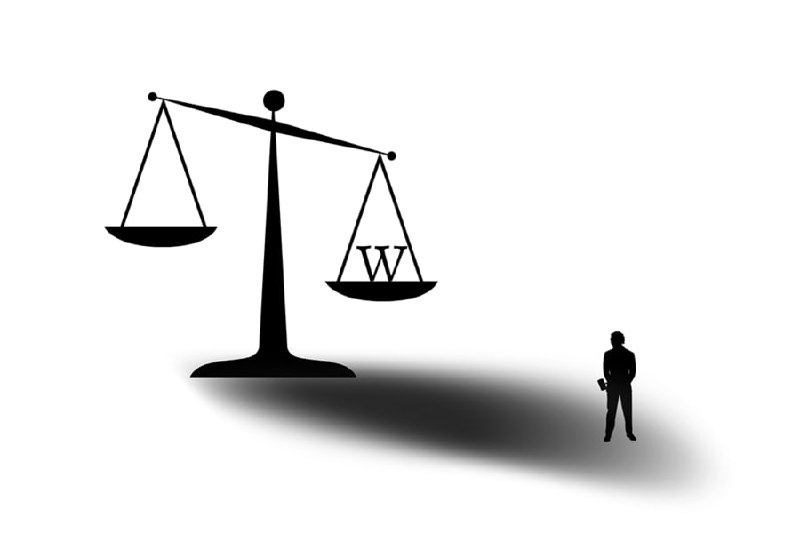 研究发现维基百科影响司法行为使用随机现场实验，研究人员发现维基百科的文章会影响法官的法律推理