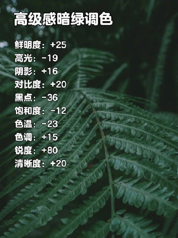 iPhone万能调色公式iPhone万能调色公式