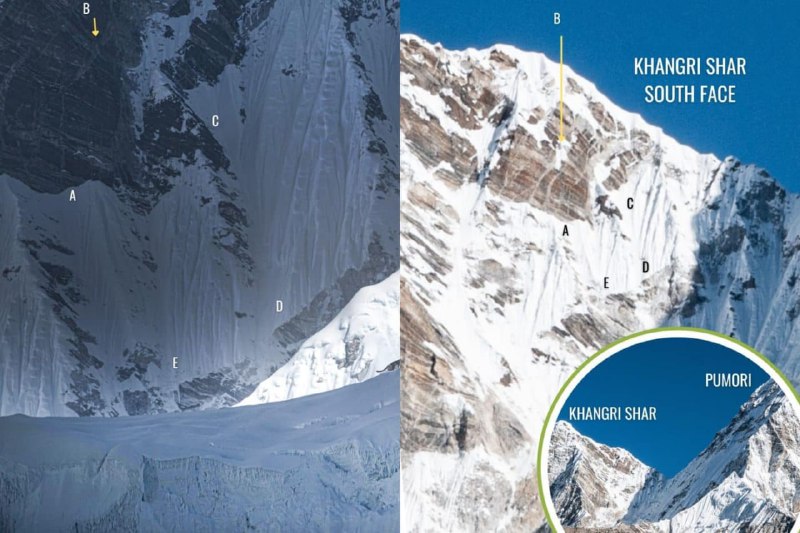 假雪豹：蒙太奇照片传遍世界 |blog假雪豹：蒙太奇照片传遍世界 |blog