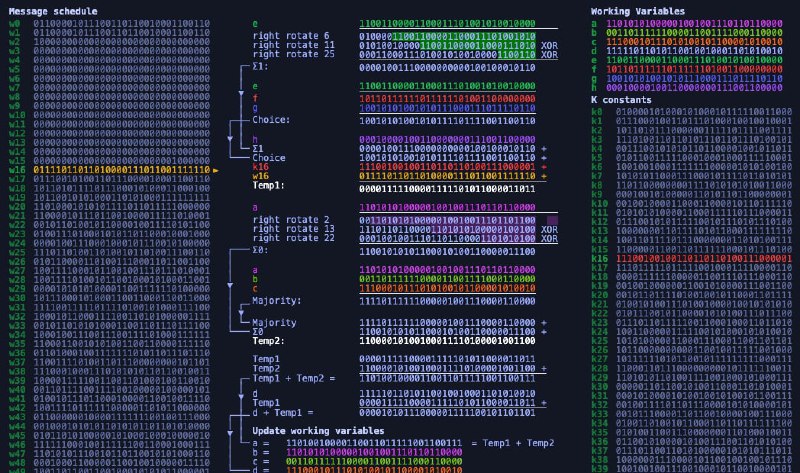 Sha256algorithm 这个 GitHub 项目通过可视化的方式，让你更为直观的理解 SHA256 算法原理