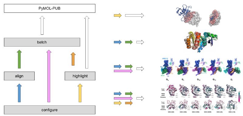 为出版物快速生成高质量结构图像的PyMOL扩展工具，通过简化操作和批量可视化协议，大幅减少手动操作，快速获得符合出版标准的图像输出PyMOL-PUB | #工具为出版物快速生成高质量结构图像的PyMOL扩展工具，通过简化操作和批量可视化协议，大幅减少手动操作，快速获得符合出版标准的图像输出PyMOL-PUB | #工具
