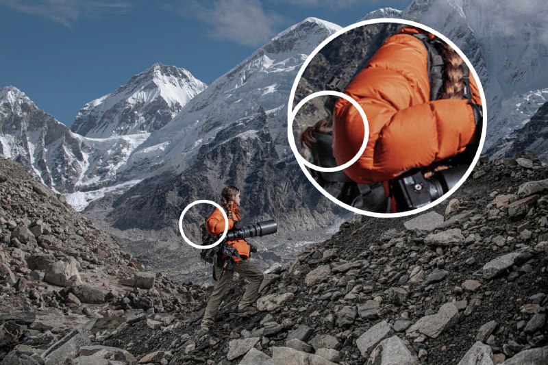 假雪豹：蒙太奇照片传遍世界 |blog假雪豹：蒙太奇照片传遍世界 |blog