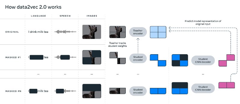 视觉、语音、文本的高效自监督学习 | Data2vec 2.0导语：人工智能最近的许多突破都是由自我监督学习推动的，它使机器能够在不依赖标记数据的情况下进行学习