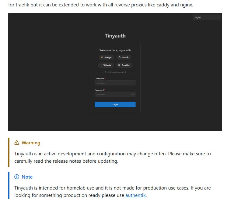 Tinyauth：为你的应用快速添加登录保护的极简方案