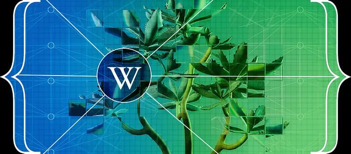 维基百科在生成式人工智能时代的价值 | link