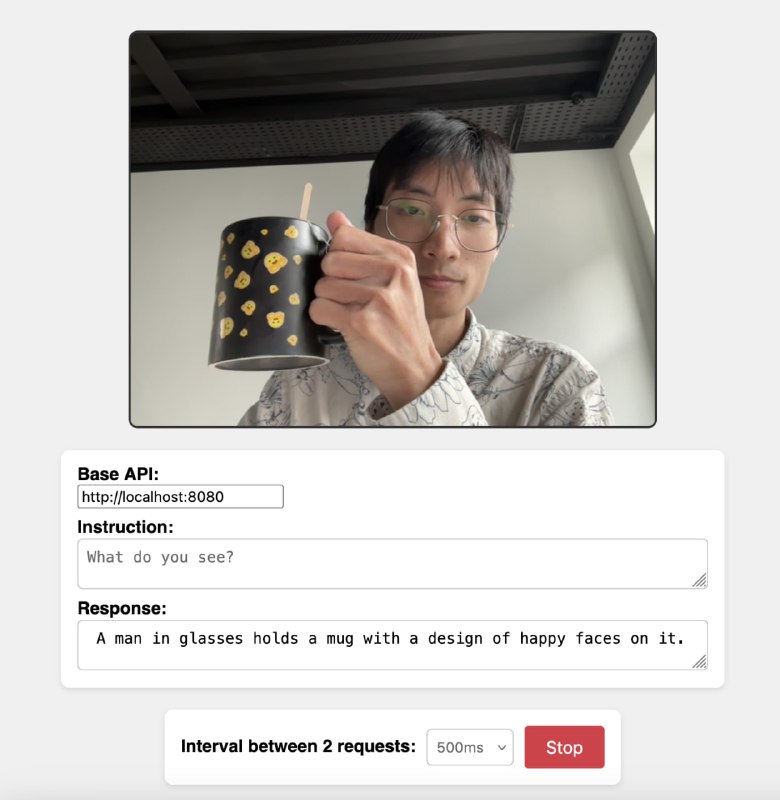 SmolVLM-realtime-webcam：实时摄像头目标检测的高效解决方案