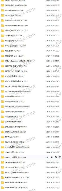 2024马士兵网安大师课10月更新2024马士兵网安大师课10月更新