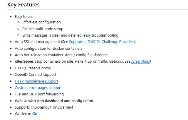 一个简单易用、性能卓越的反向代理工具，专为Docker集成设计