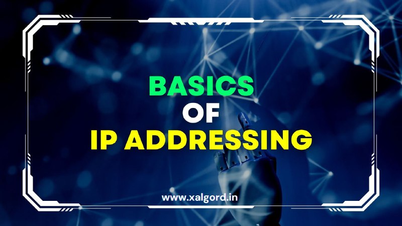 IP寻址基础知识：关于类、子网划分、网关、DNS、IP 类型和 IPv6 的深入指南