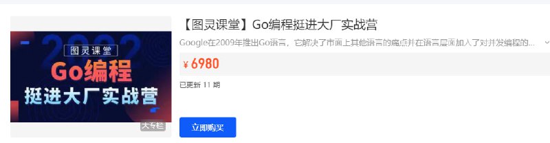 图灵课堂–2024版Go编程挺进大厂实战营