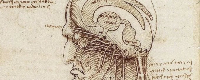 像达芬奇一样思考：文艺复兴巨匠的四个思维习惯 | 文章达芬奇几乎不懂拉丁文，没有正规学历，还是私生子