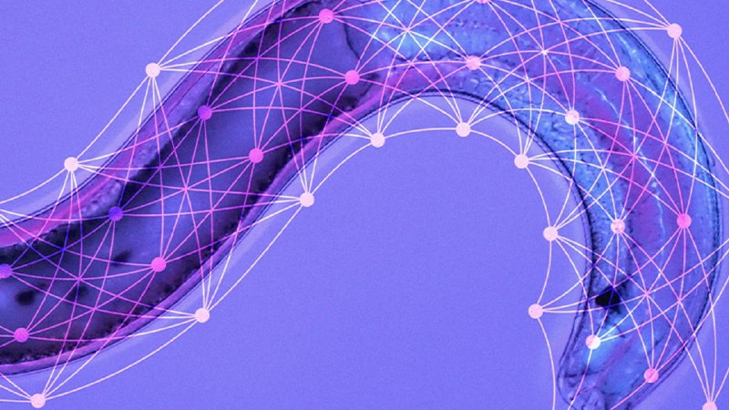 研究人员发现了一种更灵活的机器学习方法 | 详文研究人员发现了一种更灵活的机器学习方法 | 详文