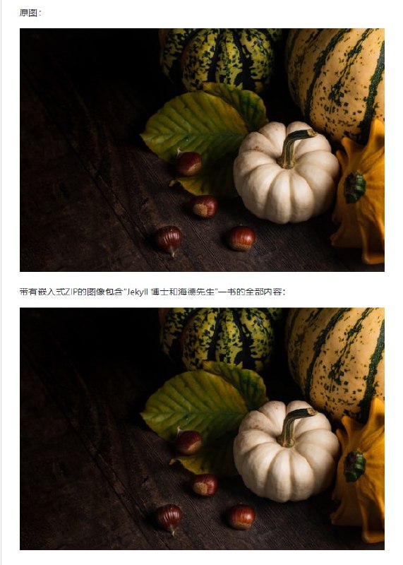 简单的C++图像隐写工具，将文件隐藏在图片里Image Steganography Tool | #工具