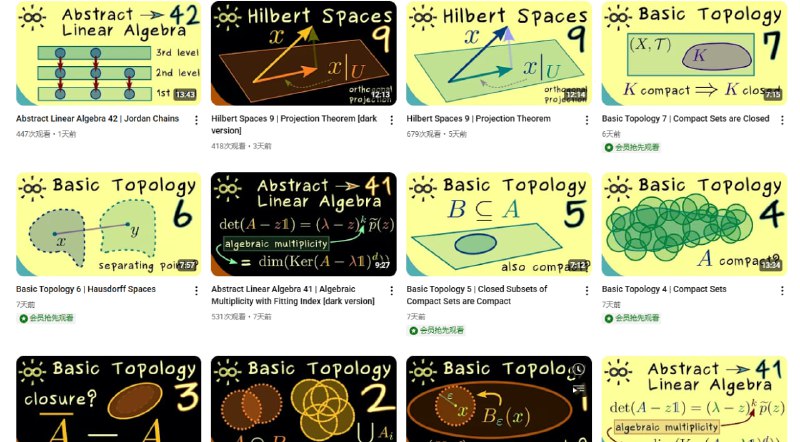 Bright Side of Mathematics：这是个要花钱的教程，专注深入讲解数学精髓的优质YouTube频道，适合想攻克难点的学习者