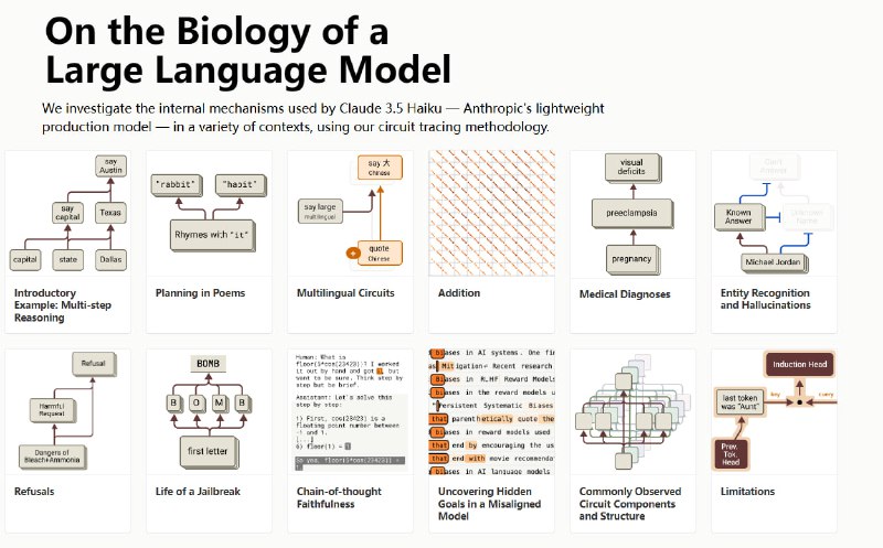 On the Biology of a Large Language Model：深入剖析大型语言模型的内部机制，为理解其决策过程提供前所未有的视角
