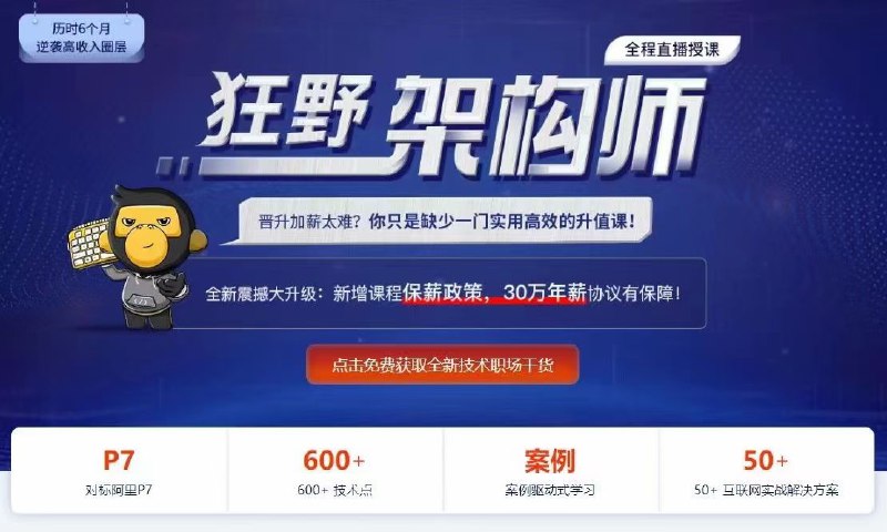 更新，【黑马博学谷】狂野架构师2022，已反馈超好的课程