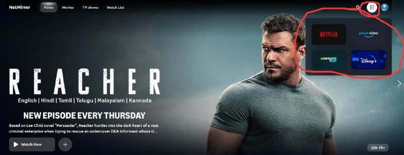 NetMirror : 迪士尼流媒体貌似PC还看不了，目前只能看奈飞和亚马逊，但是TV端能看NetMirror : 迪士尼流媒体貌似PC还看不了，目前只能看奈飞和亚马逊，但是TV端能看