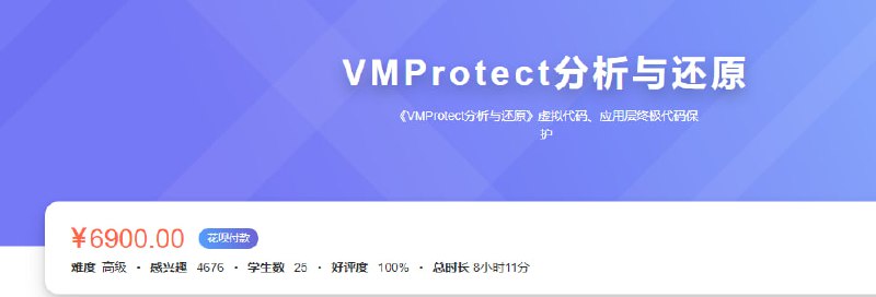 看雪-VMProtect分析与还原 完结