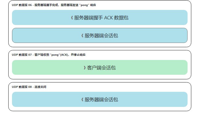 一个图解各类传输层协议的网站，包括 QUIC、DTLS、TLS1.3、TLS1.2 连接过程的详细图解，还包括了代码实现，很适合对计算机基础底层的人学习