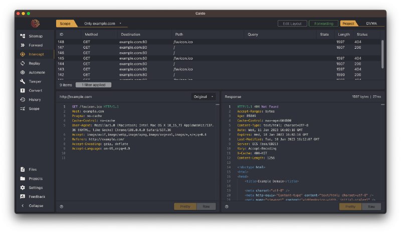 为安全专业人士和爱好者打造的高效Web应用审计工具