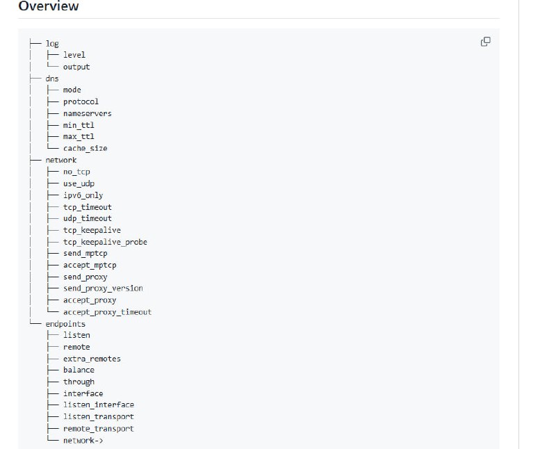 网络中继工具 Realm，专为高性能转发设计，基于 Rust 编写，轻量且零配置，启动即用